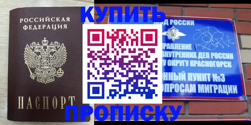 прописка гарантия в Волгодонске